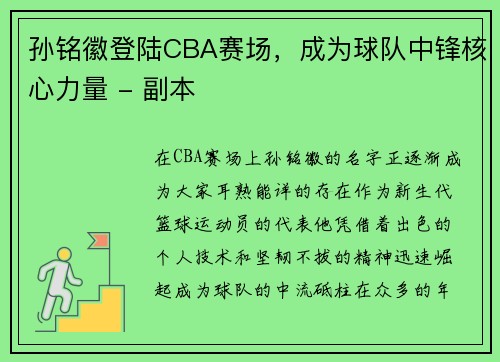 孙铭徽登陆CBA赛场，成为球队中锋核心力量 - 副本