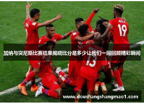 加纳与突尼斯比赛结果揭晓比分是多少让我们一同回顾精彩瞬间